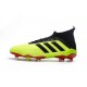 Profesjonalne Buty piłkarskie Adidas Predator 18.1 FG