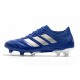 Buty piłkarskie adidas Copa 20.1 FG Niebieski Srebro