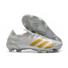 Buty piłkarskie adidas Predator Mutator 20.1 FG Biały Złoto